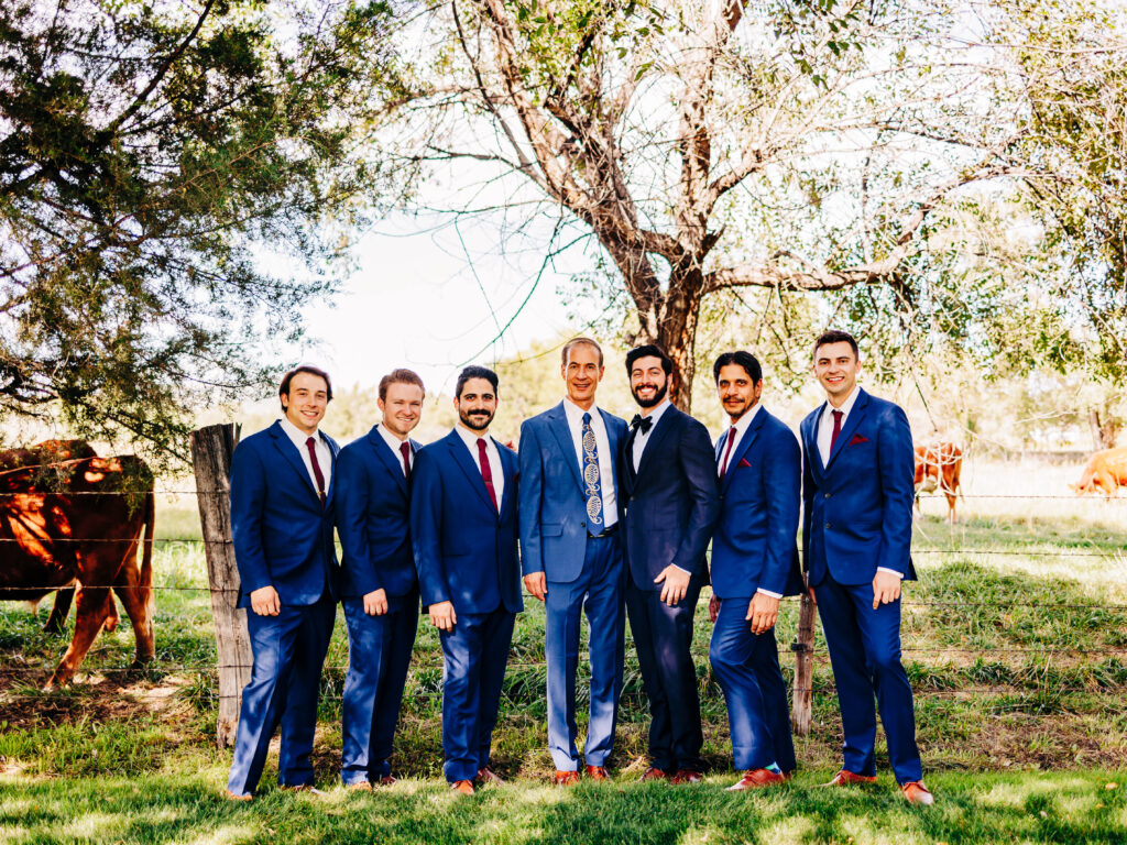 A photo of a groom and his groomsmen, all wearing blue suits, posing with cows at Shupe Homestead in Longmont, CO. 