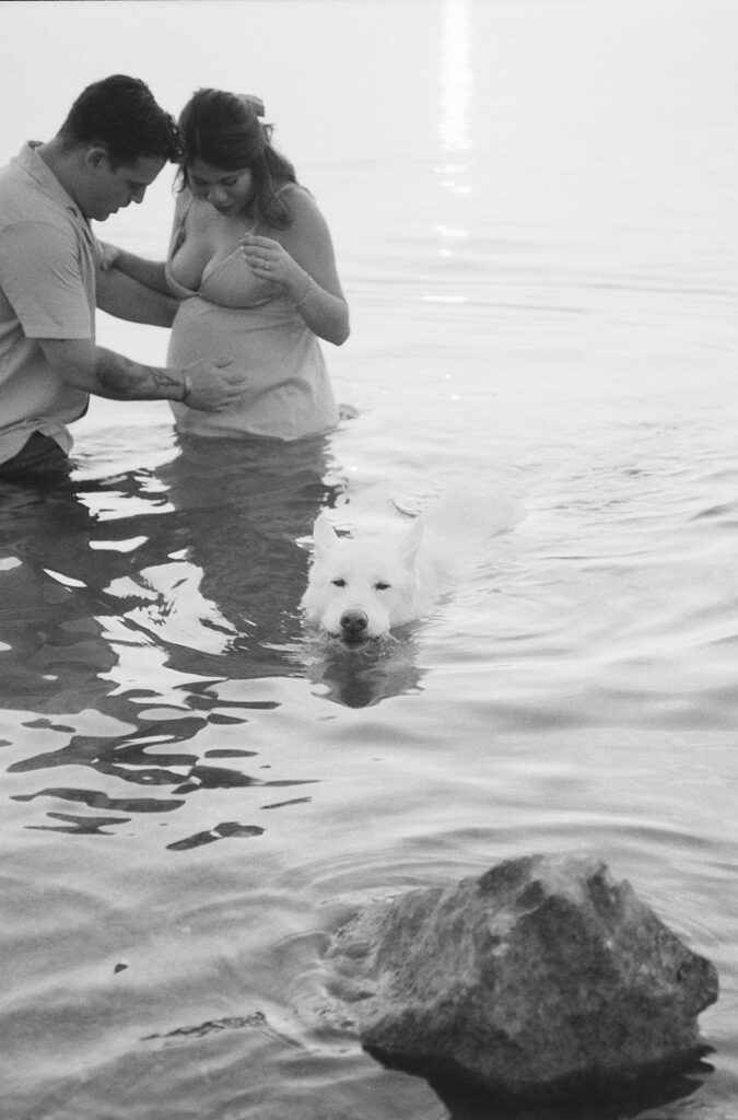 A black-and-white photo of the couple standing in Canyon Lake, looking down at the water as their dog swims toward them during their maternity session.