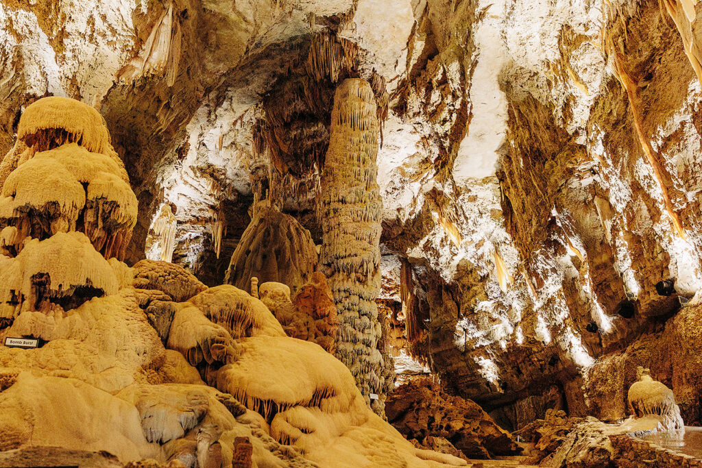 A brightly lit limestone cave interior with tall stalagmites, hanging stalactites, and intricate mineral formations covering the walls and floor, reminiscent of the stunning Natural Bridge Caverns—an unforgettable spot for a unique proposal.