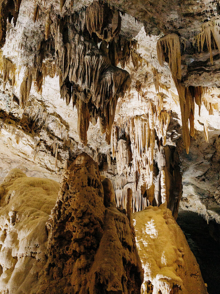 Stalactites hang from a cave ceiling above tall stalagmites rising from the cave floor, forming dramatic natural limestone formations in the dimly lit underground chambers of Natural Bridge Caverns—a breathtaking spot for a romantic proposal.
