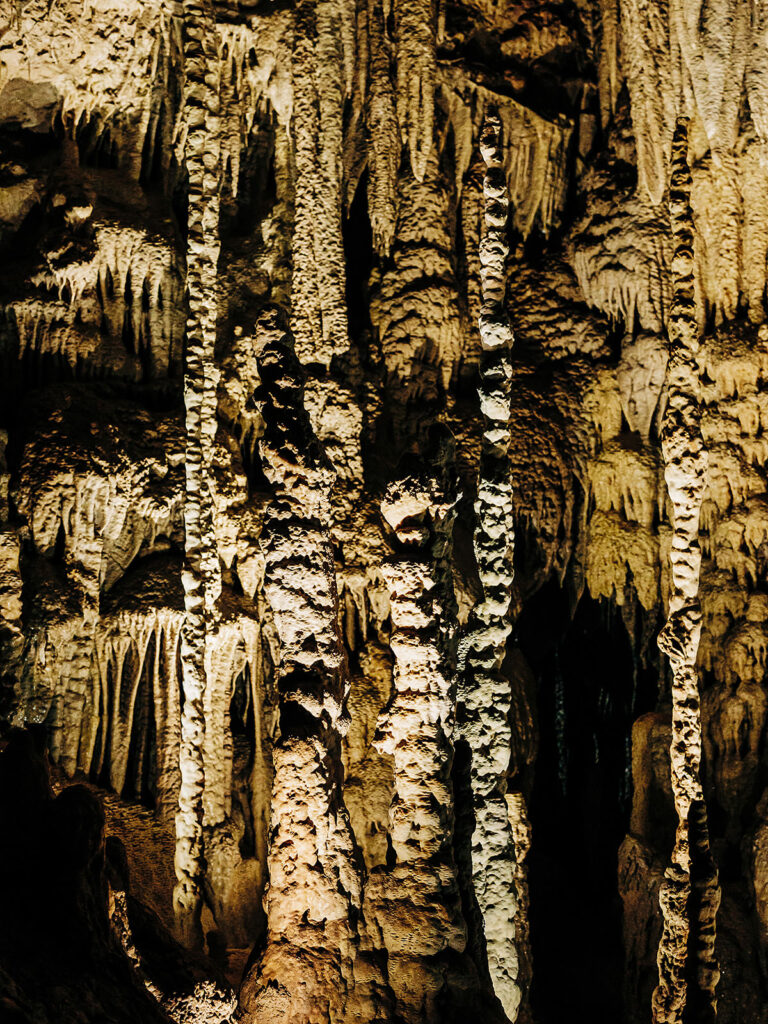 Tall, jagged stalagmites and pointed stalactites inside a dimly lit limestone cave at Natural Bridge Caverns, displaying dramatic textures and earthy tones—the perfect backdrop for a memorable proposal.